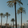 Genoa Your Way: A Personalized 4-Hour Exploration