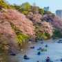 Discover Your Tokyo: A Full Day, Your Way