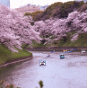 Best time of year to visit Tokyo: The ultimate guide to the city's seasons