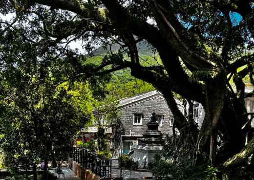 The Enchanted Garden Sanctuary