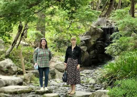 Harmony in the Cascade's Gentle Murmur