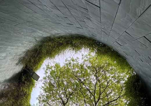 A Serene View: Stairway to Tranquility