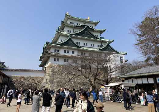 Exploring the Mystical Majesty of Nagoya Castle