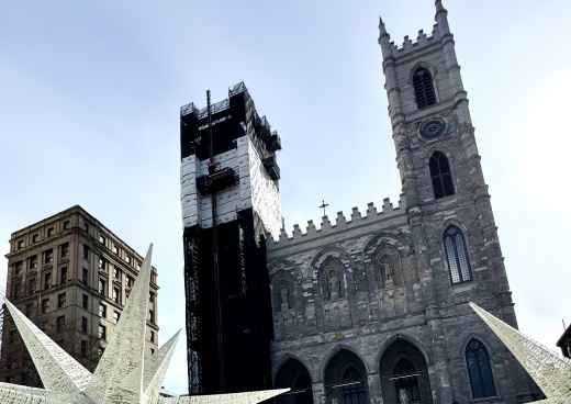 Stars of Winter: A Cathedral's Embrace