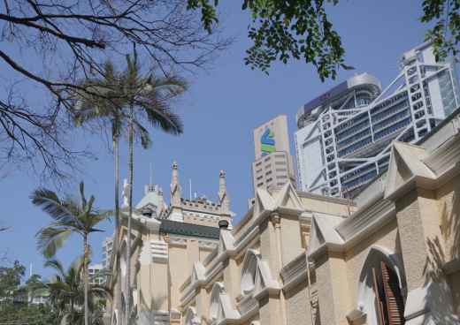 A Moment of Reflection in the Urban Jungle