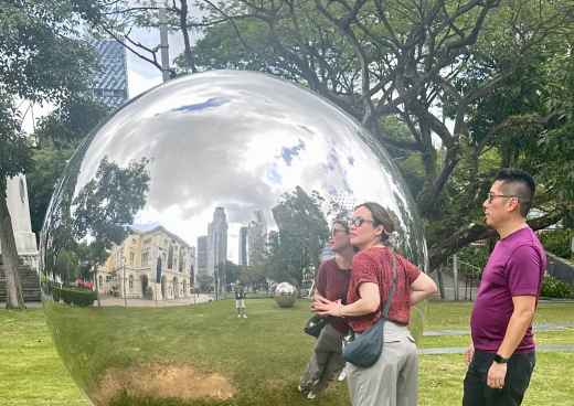 Embracing Reflection: A Dance with Silver