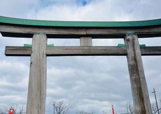 Under the Majestic Torii: A Family's Adventure