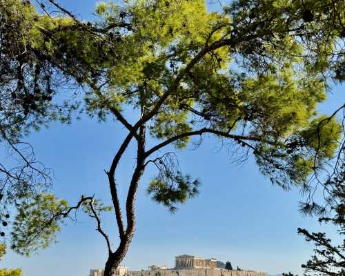 Whispers of Ancient Majesty