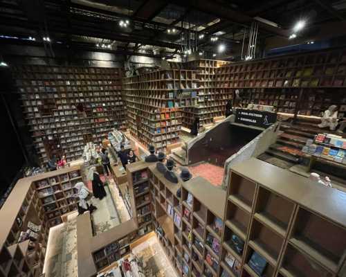 Lost in a Labyrinth of Books