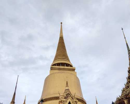 Golden Majesty: Ascend to the Sky