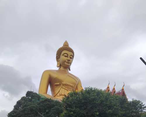 A Moment of Calm Under the Grey Heavens