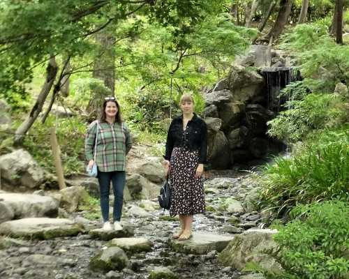 Harmony in the Cascade's Gentle Murmur