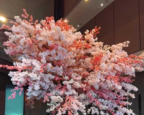 Blossoms of Serenity: A Spring Arrival