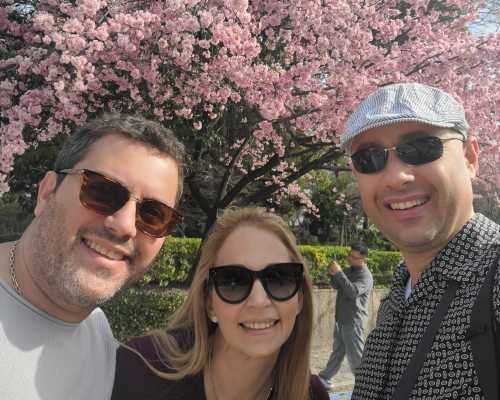 Under the Cherry Blossom Canopy: Joyful Moments