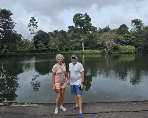 A Moment of Calm by the Waterside
