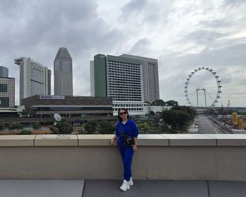 Skyline Serenity: A Vibrant Encounter