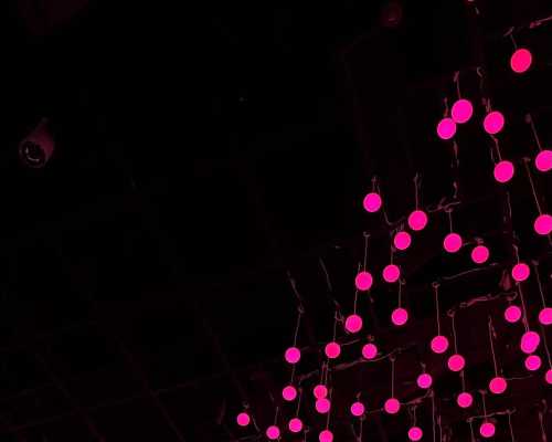 Where Light Becomes Art: An Illuminated Haven