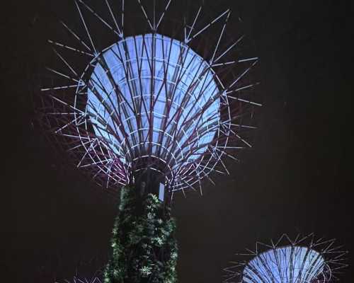 Enchanted Giants Under the Night Sky