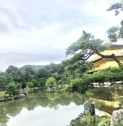 Golden Tranquility: Reflecting Serenity