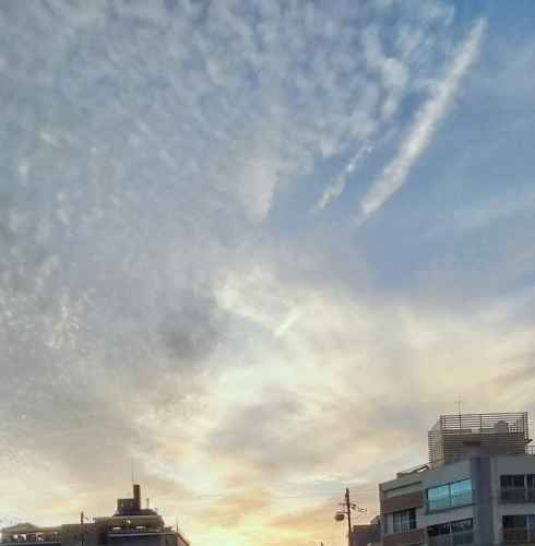 Sky Painted in Gold: A Stroll at Dusk