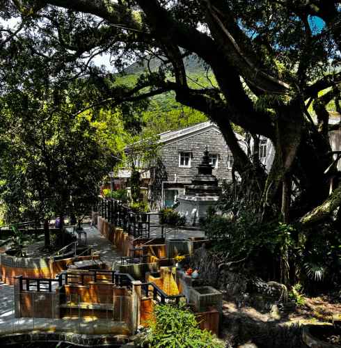 The Enchanted Garden Sanctuary