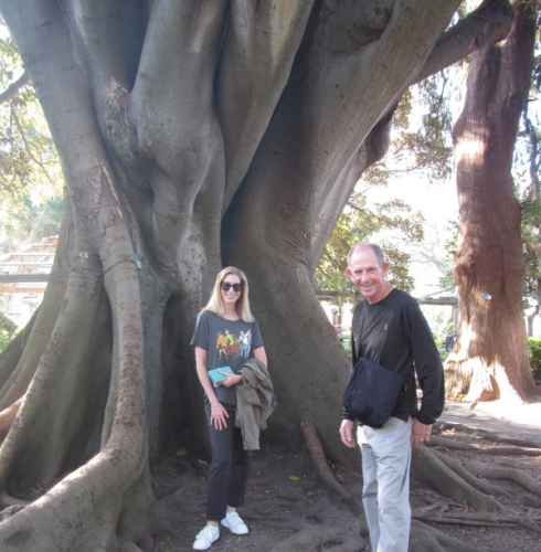 Under the Canopy of Ancient Roots