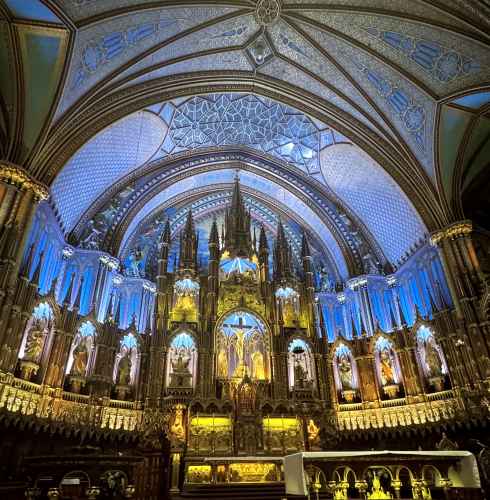 Gothic Elegance: Where History Breathes Life