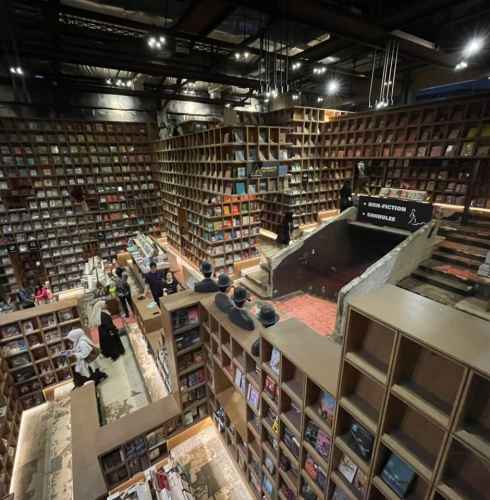 Lost in a Labyrinth of Books
