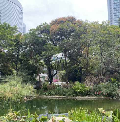 Urban Oasis: A Hidden Gem Amidst the Skyscrapers