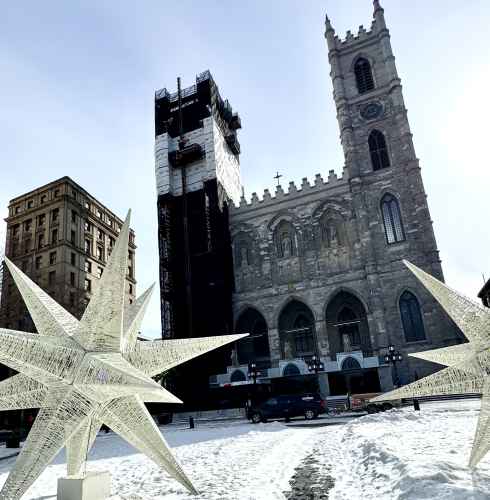 Stars of Winter: A Cathedral's Embrace