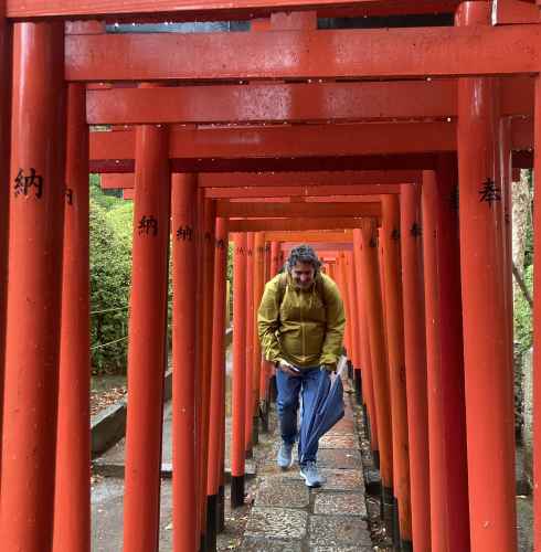Traveler's Passage Under Vibrant Torii
