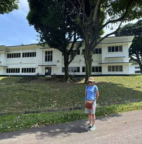 The Traveler's Pause: Serenity Under the Sun