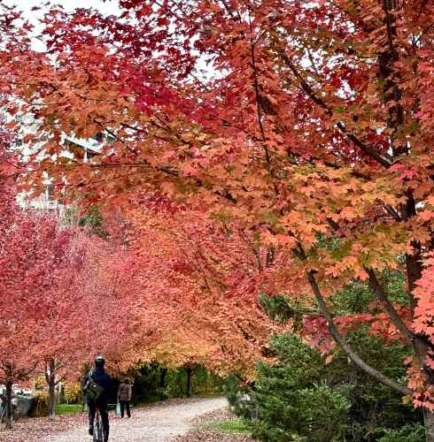 Autumn's Welcoming Pathway