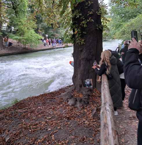 Riding the Urban Wave: Nature Meets Adventure