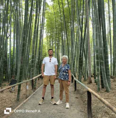 Serenity Amongst Towering Bamboo