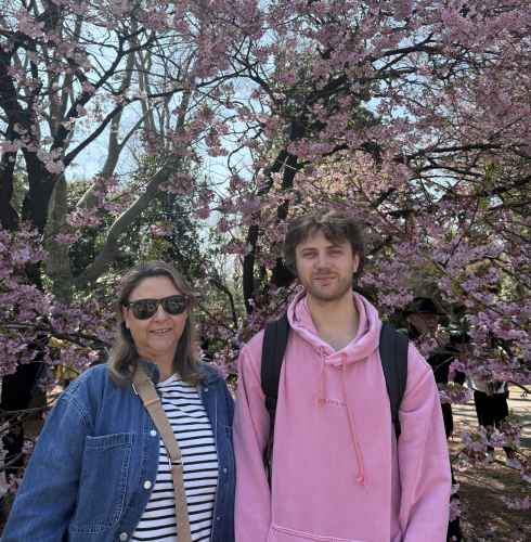 Cherry blossoms in full bloom with a man and woman beneath.