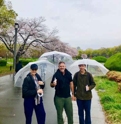 A group enjoying a rainy stroll through Osaka’s cherry blossoms.