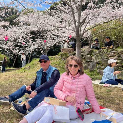 Springtime Serenity Under Blossoming Skies