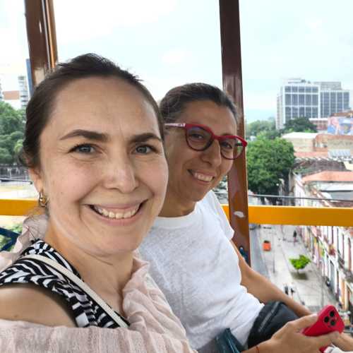 Sky-High Smiles in the City