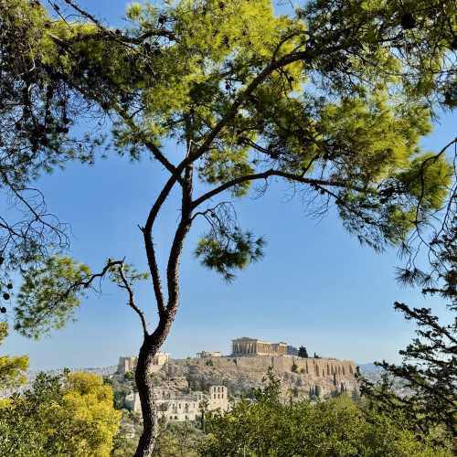 Whispers of Ancient Majesty