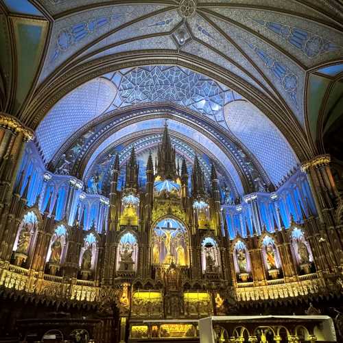Gothic Elegance: Where History Breathes Life