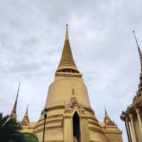 Golden Majesty: Ascend to the Sky