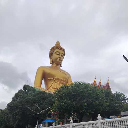 A Moment of Calm Under the Grey Heavens