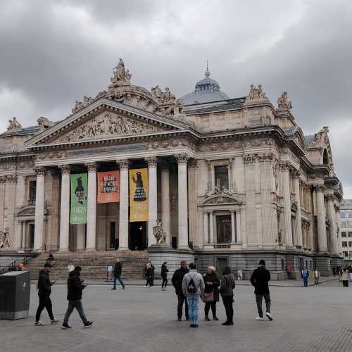 Majestic Elegance Amidst the Clouds