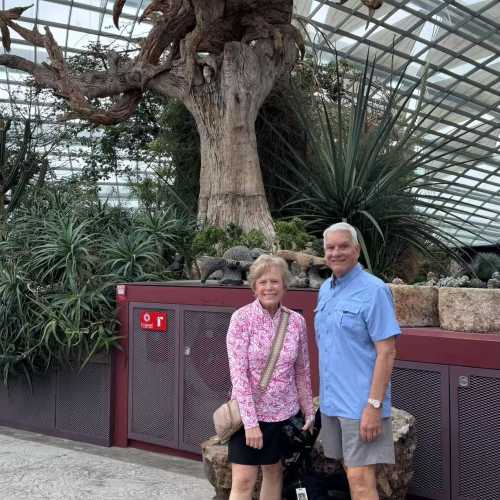 Under the Watchful Gaze of Nature's Guardian