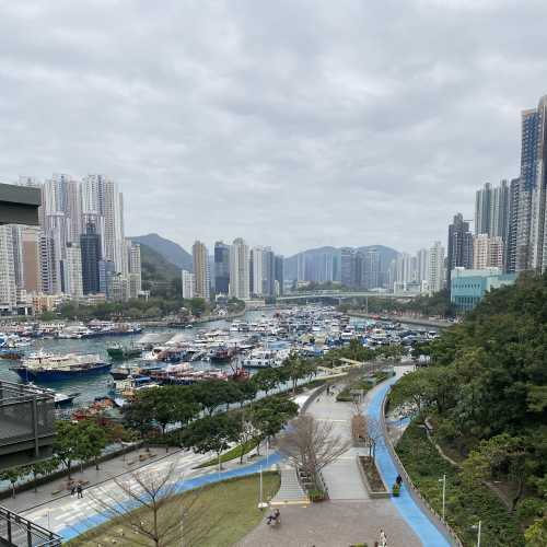 Harbor Harmony: Where City Meets Sea