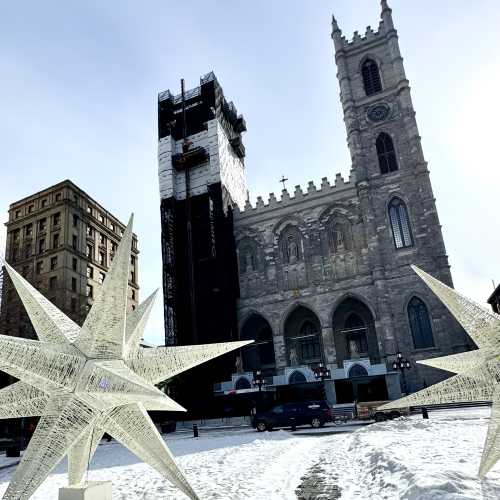 Stars of Winter: A Cathedral's Embrace