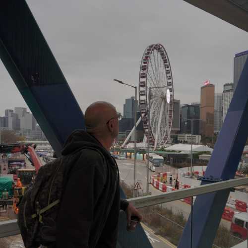 A Moment of Reflection: Cityscapes and Ferris Wheels