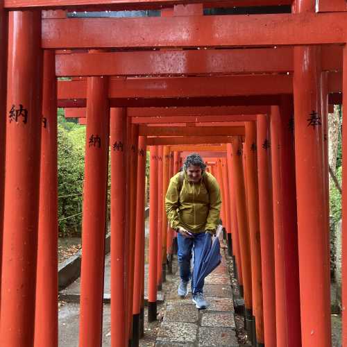 Traveler's Passage Under Vibrant Torii
