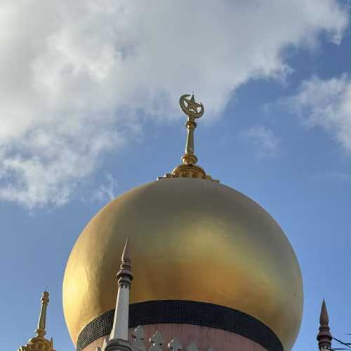 Golden Serenity: Where Earth Meets Sky